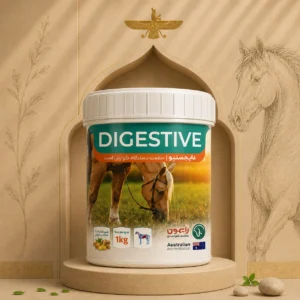 مکمل دستگاه گوارش اسب دایجستیو | Digestive | مکمل اسب