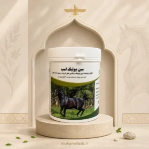 مکمل دستگاه گوارش سن بیوتیک (Synbiotic) | مکمل اسب
