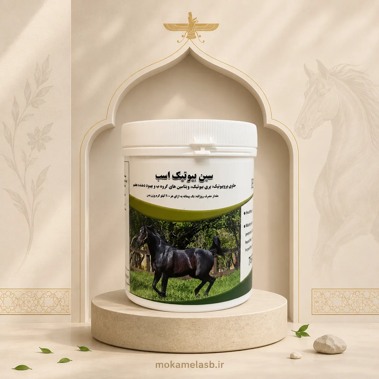 مکمل دستگاه گوارش سن بیوتیک (Synbiotic)